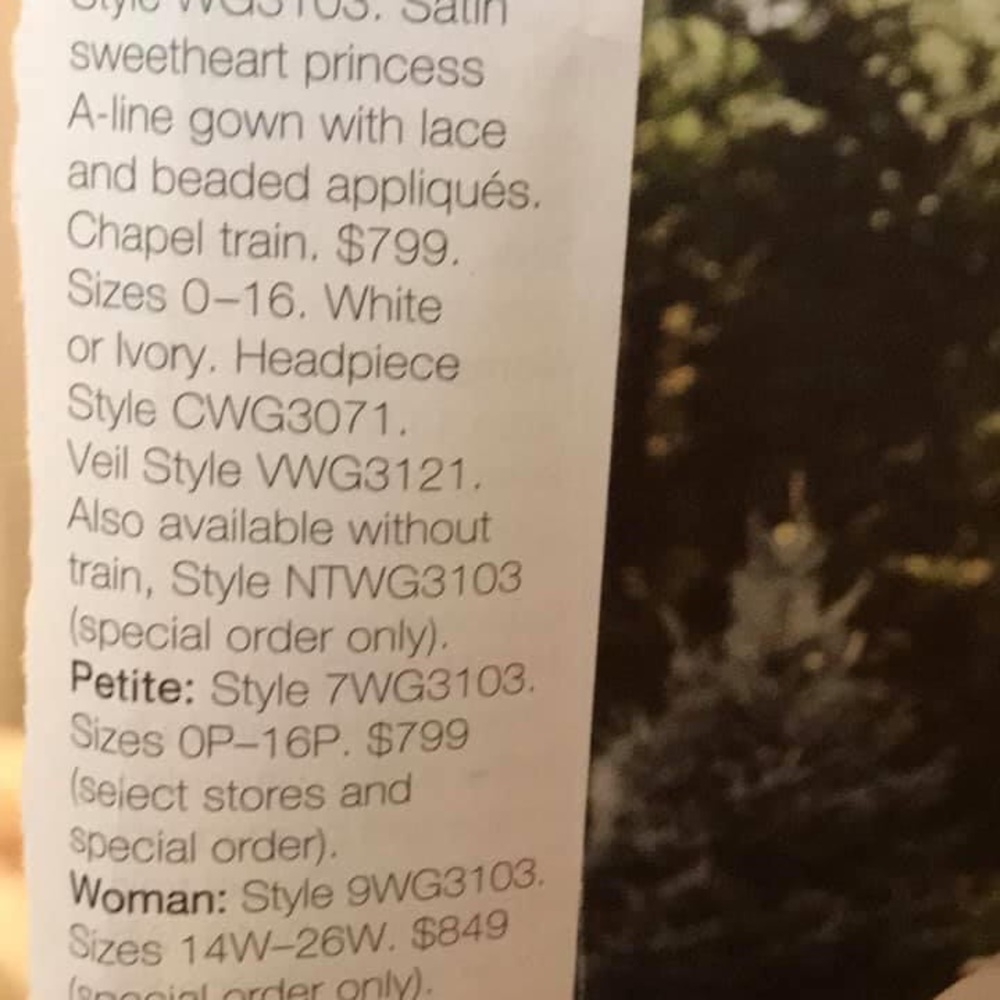 Bridal Gown - Picture 3 of 11